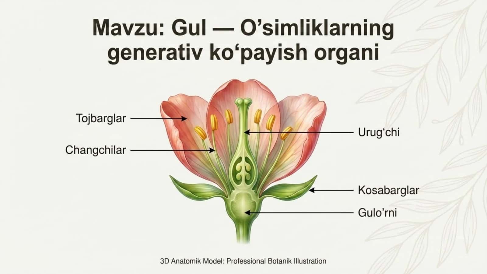 Gul - o'simliklarning generativ ko'payish organi 1