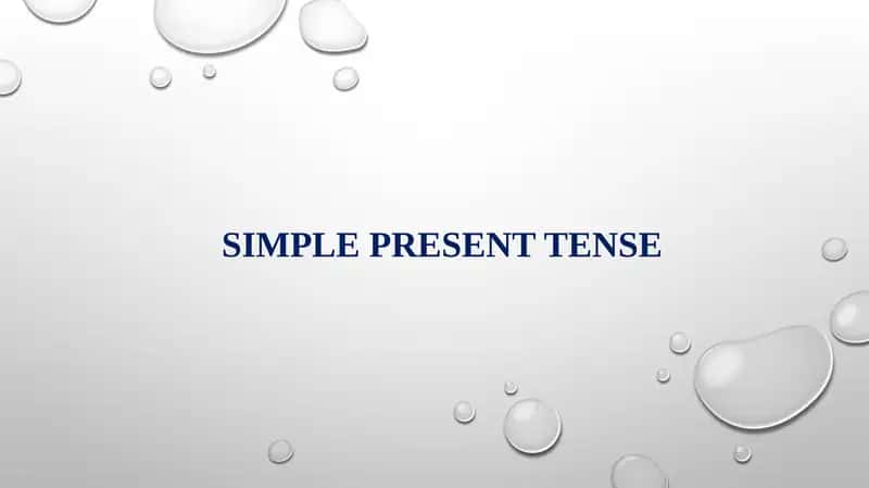 Simple Present Tense 1