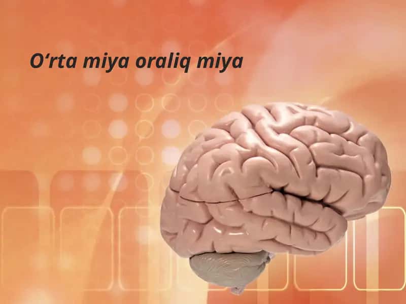 Boshmiyaning tuzilishi va funksiyasi 1