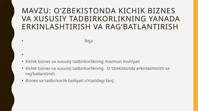 Kichik biznes va xususiy tadbirkorlik 1