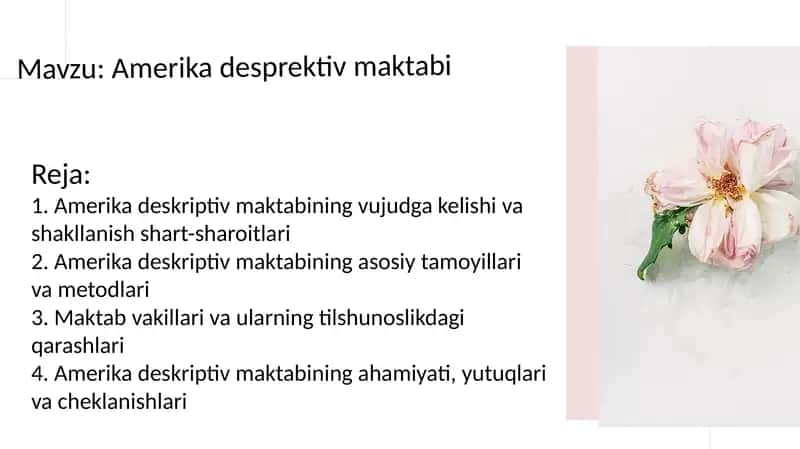 Amerika deskriptiv maktabi 1