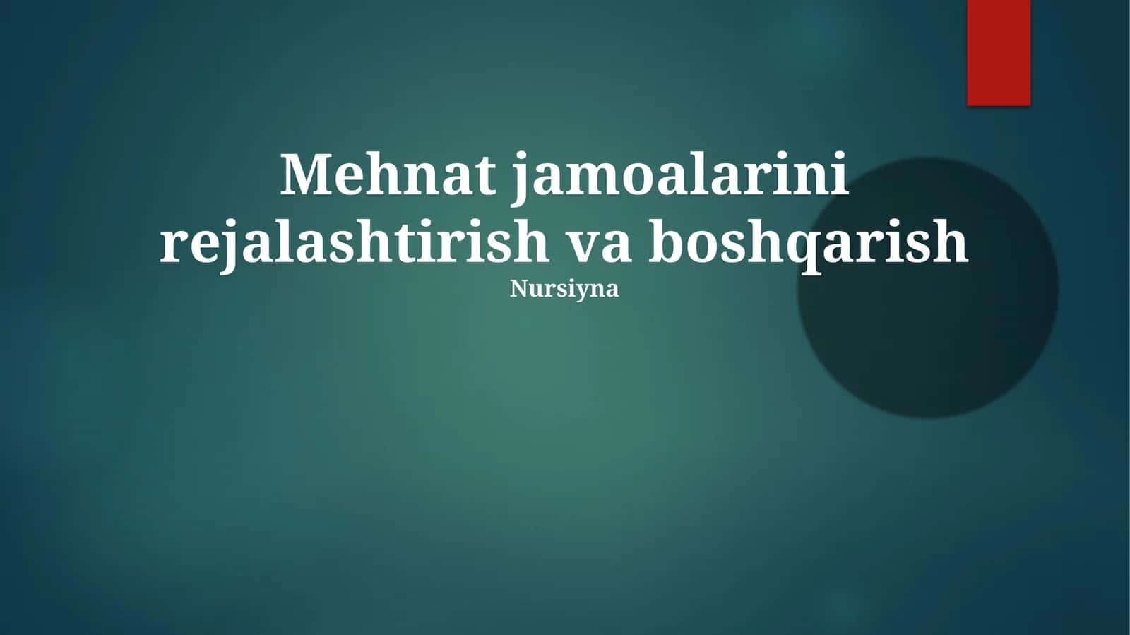 Mehnat jamoalarini rejalashtirish va boshqarish 1