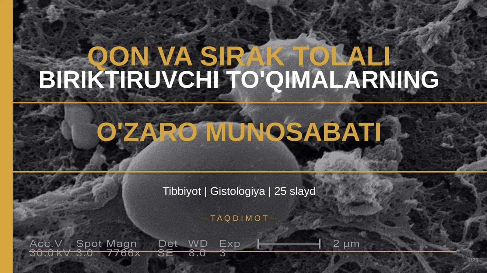 QON VA SIRAK TOLALI BIRIKTIRUVCHI TO'QIMALARNING O'ZARO MUNOSABATI 1
