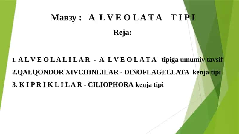 ALVEOLATATIPI 1