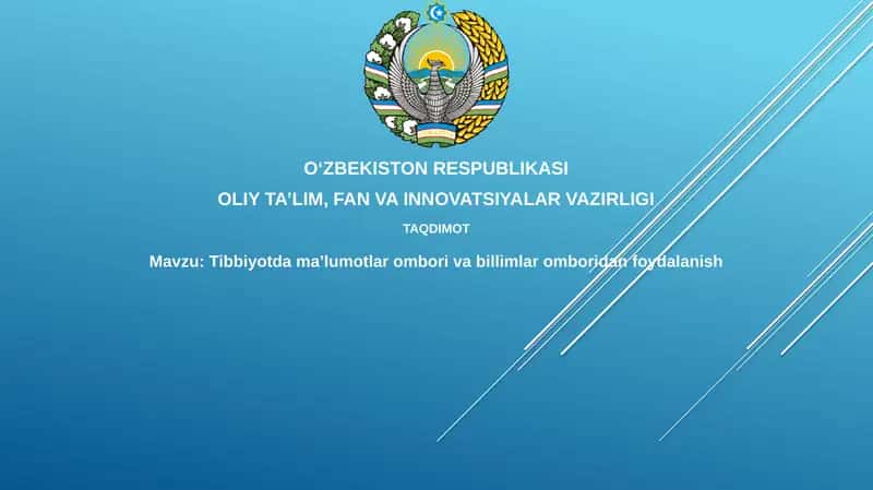 Ma'lumotlar omborlari va bilimlar omborlari: Asosiy tushunchalar va tibbiyotdagi roli 1