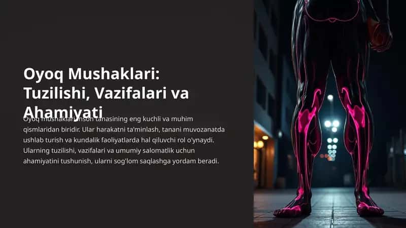 Oyoq mushaklari 1