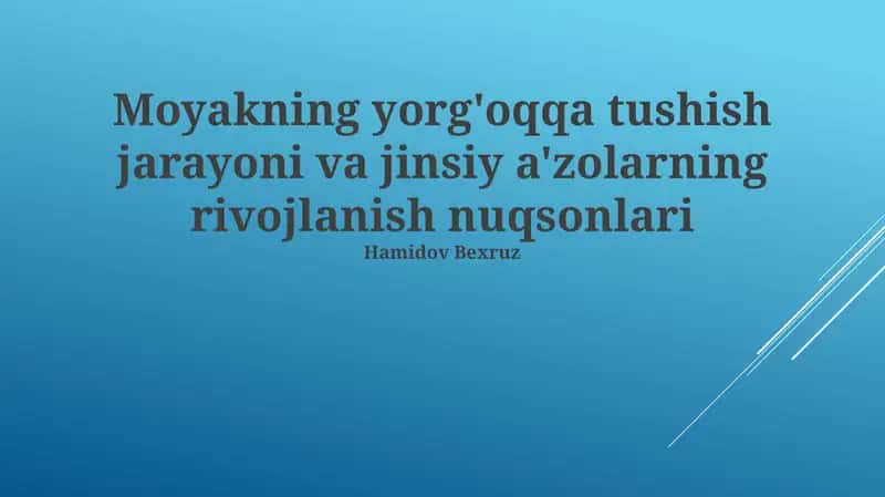 Moyakning yorg'oqqa tushish jarayoni va jinsiy a'zolarning rivojlanish nuqsonlari 1