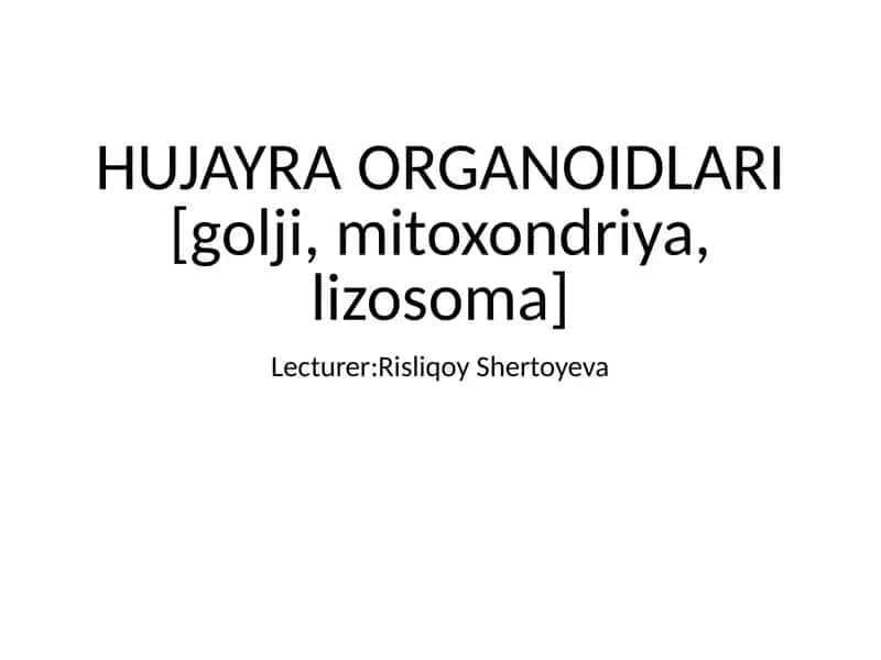 HUJAYRA ORGANOIDLARI 1