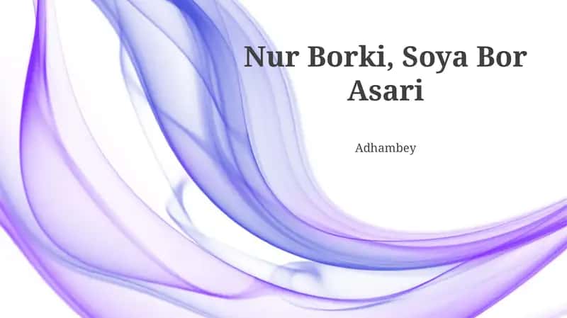 Nur Borki, Soya Bor Asari 1