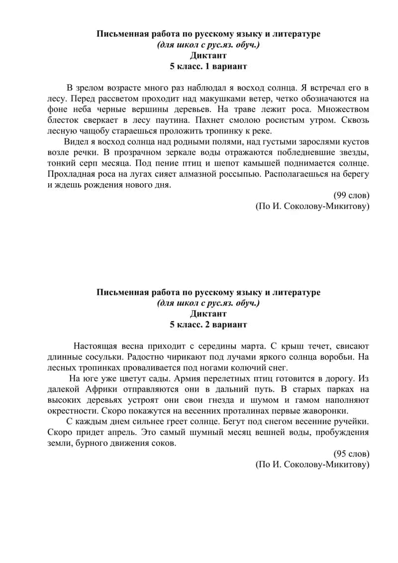 Письменная работа по русскому языку и литературе 1
