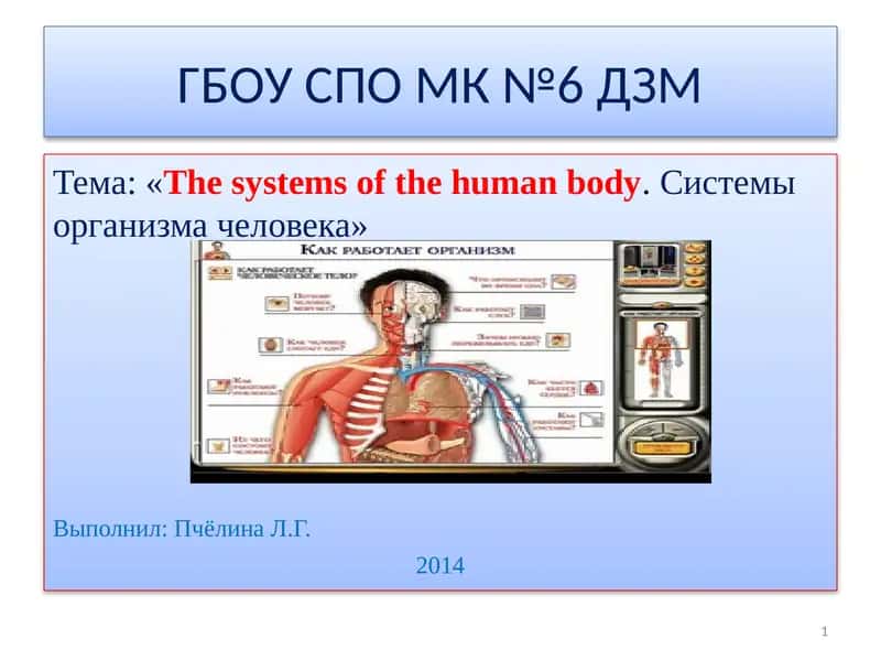 The systems of the human body.Системы организма человека 1
