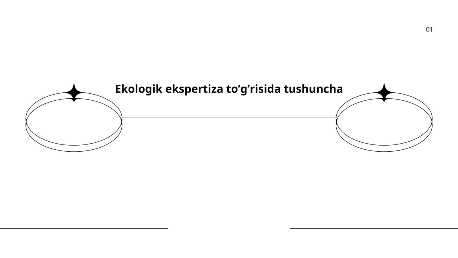Ekologik ekspertiza 1
