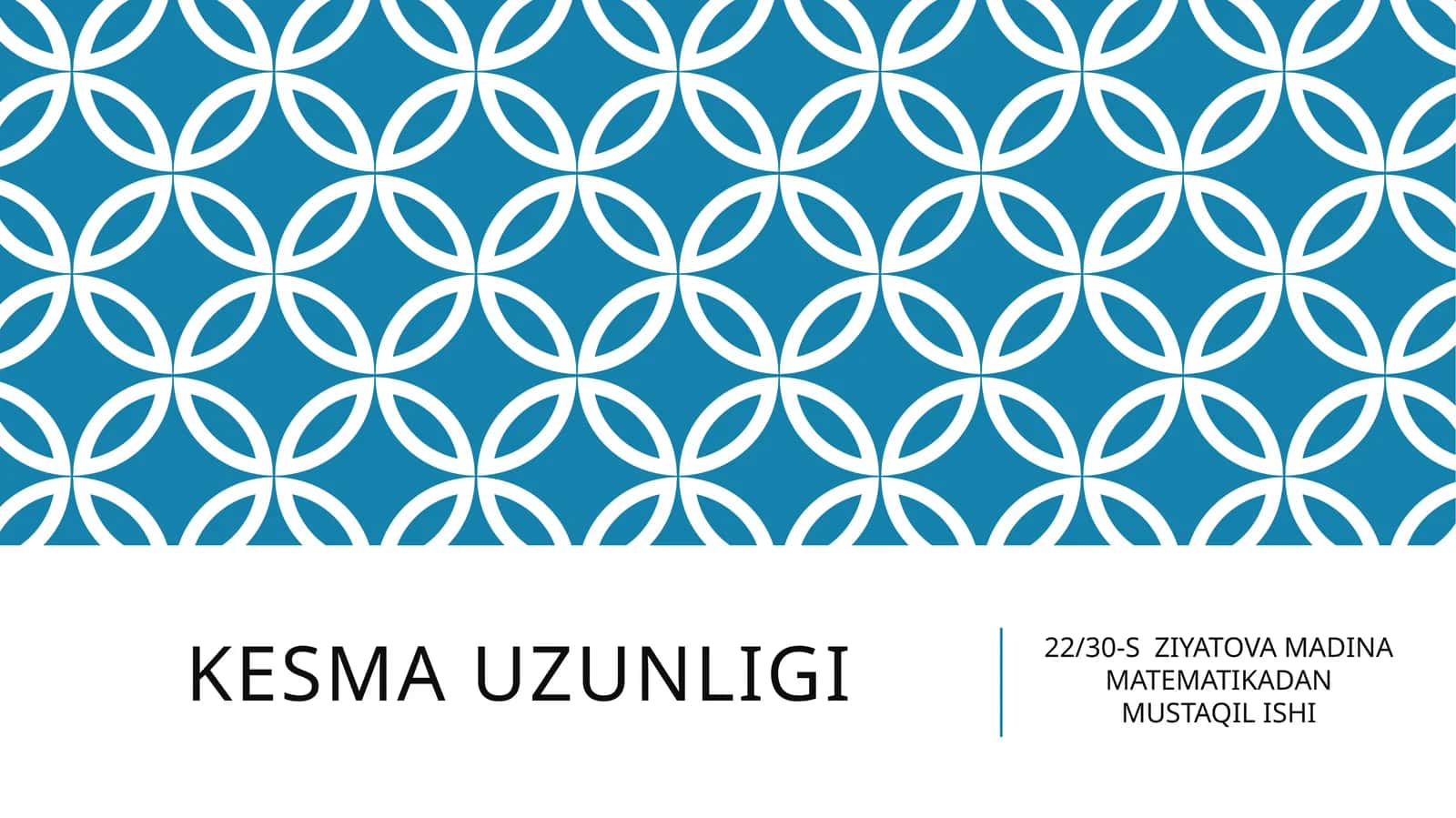 22/30-S ZIYATOVA MADINA MATEMATIKADAN MUSTAQIL ISHI 1