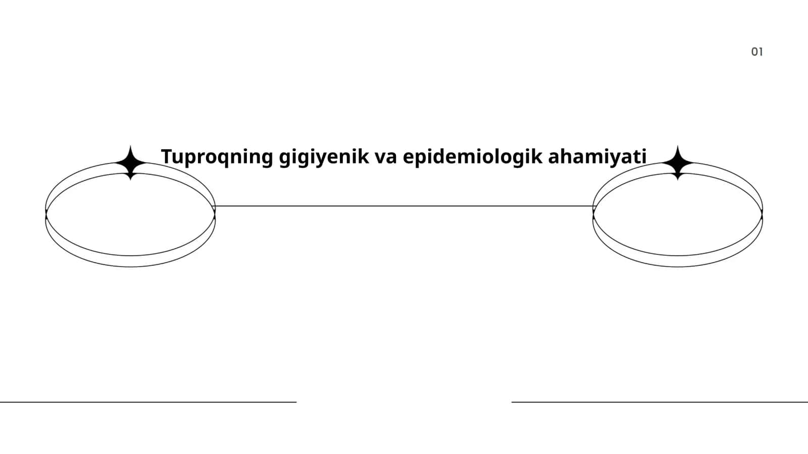 Tuproqning gigiyenik va epidemiologik ahamiyati 1