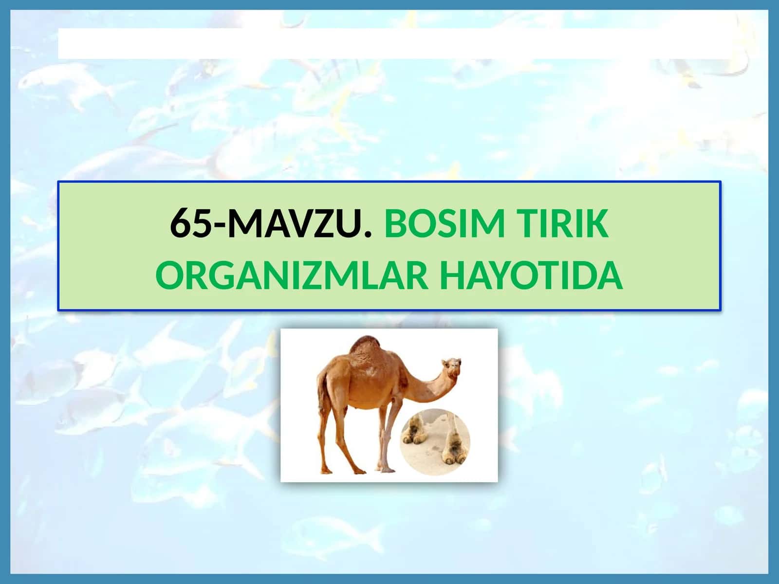 MAVZU.BOSIM TIRIK 1