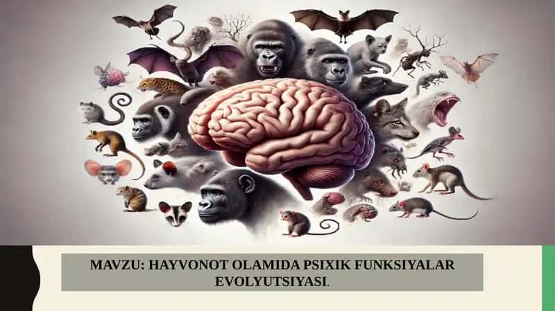 HAYVONOT OLAMIDA PSIXIK FUNKSIYALAR EVOLYUTSIYASI 1