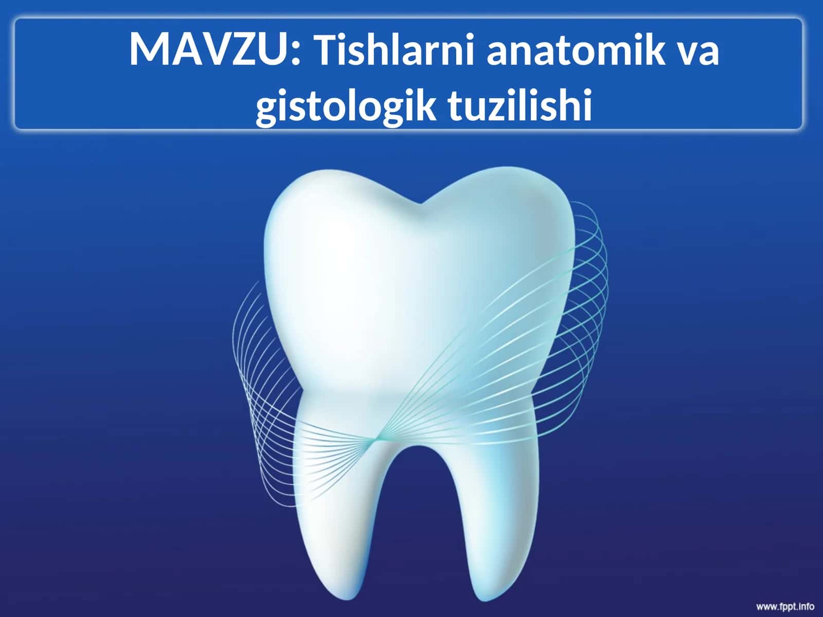 Tishlarni anatomik va gistologik tuzilishi 1