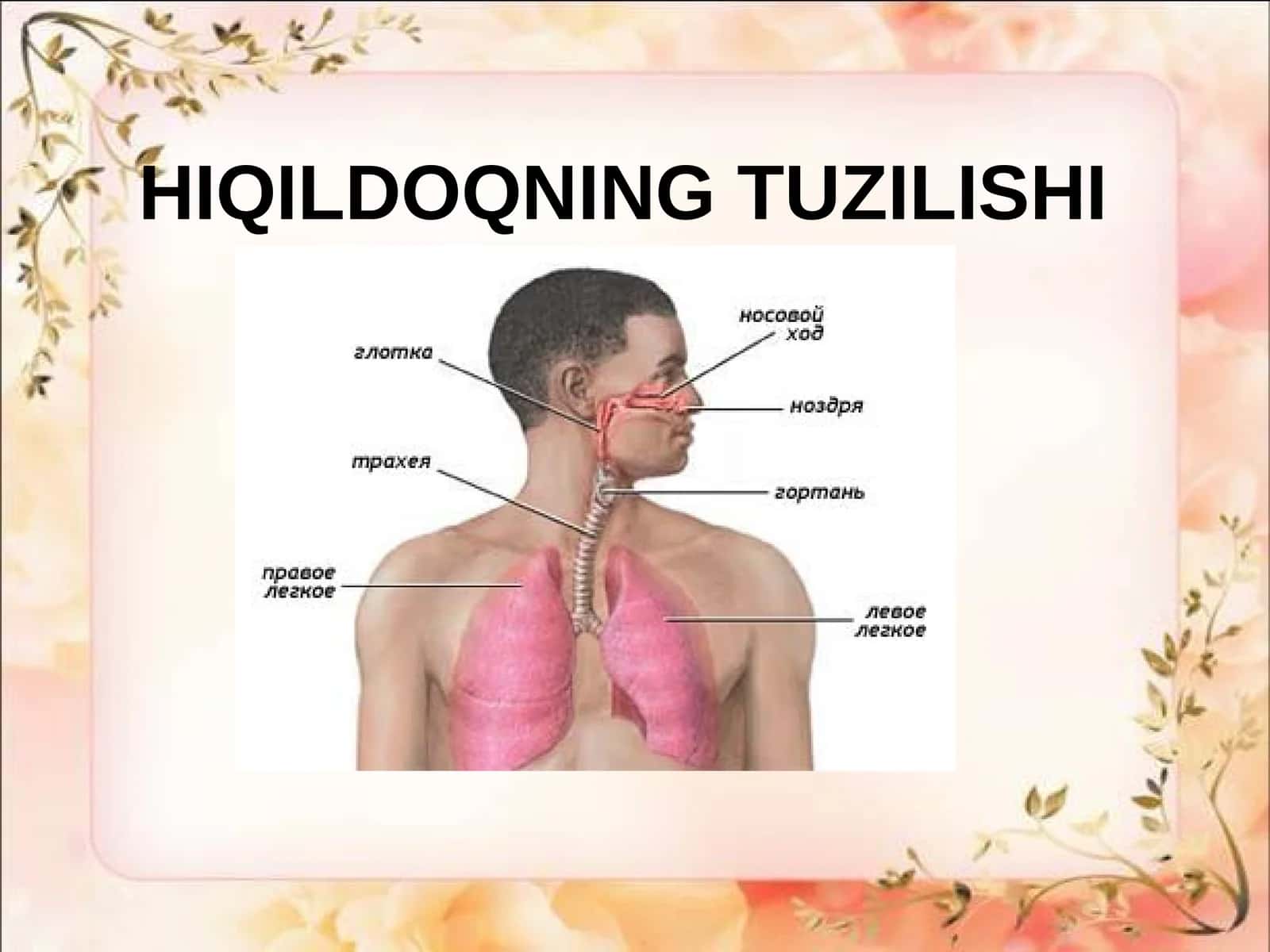 HIQILDOQNING TUZILISHI 1