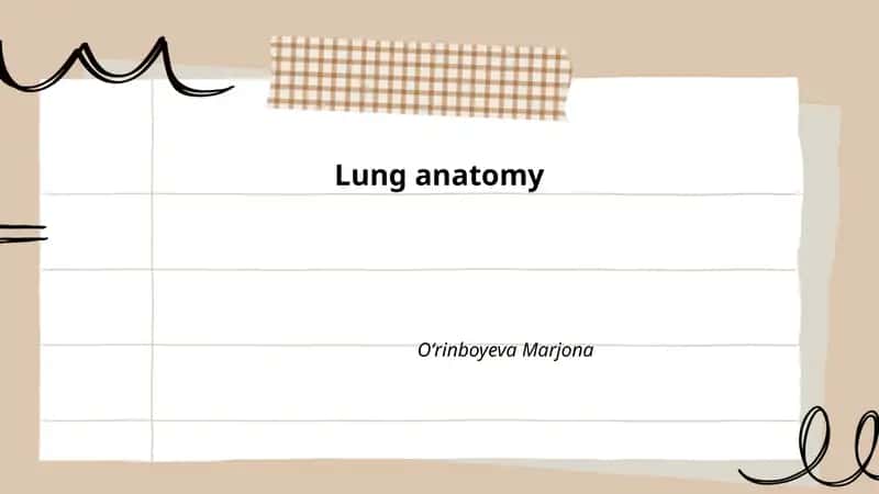 Lung anatomy 1