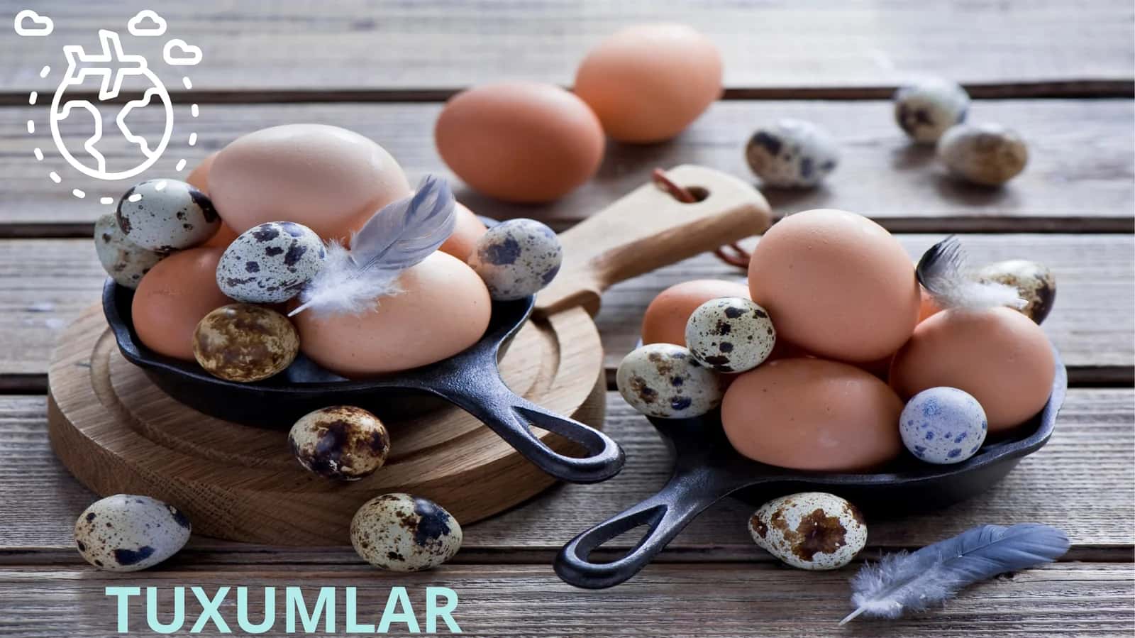 Tuxumlar 1