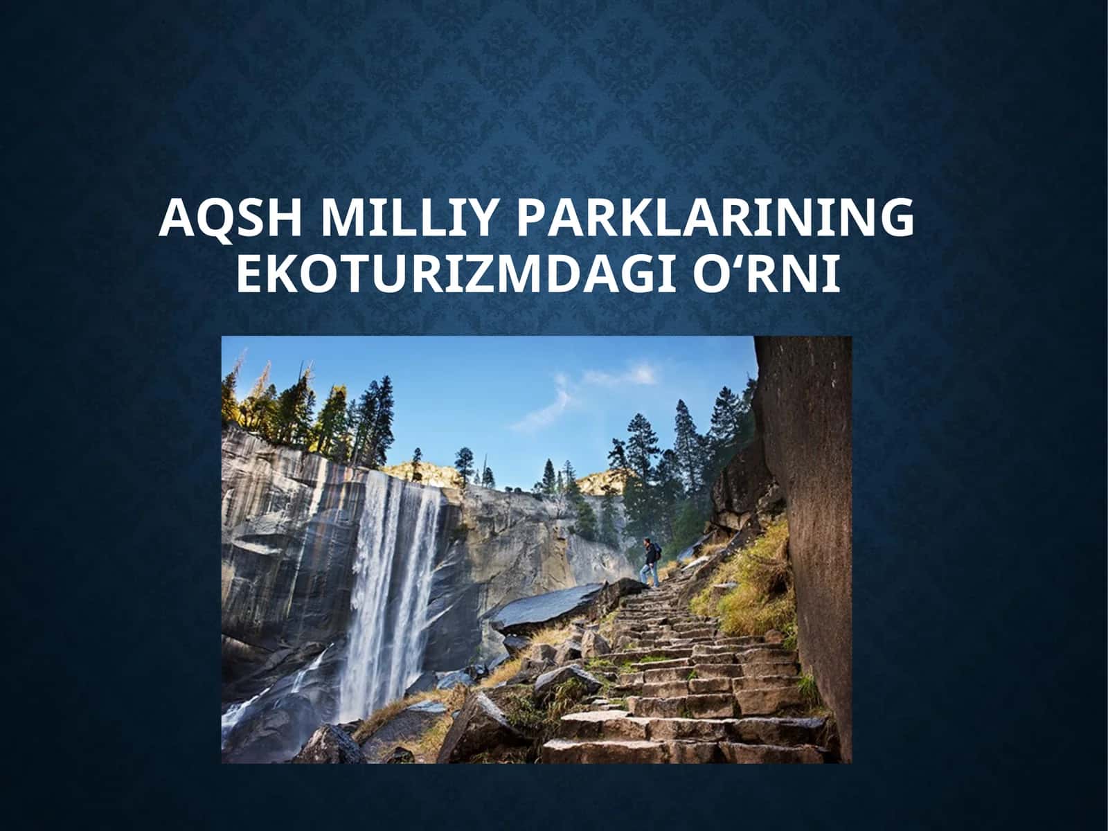 АQSh milliy parklarining ekoturizmda gio‘rni 1