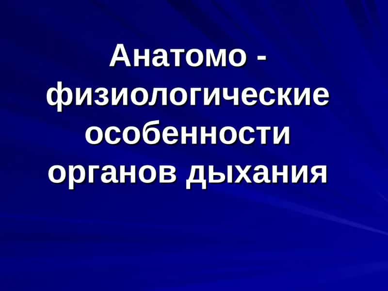 Развитие дыхательной системы внутриутробно 1