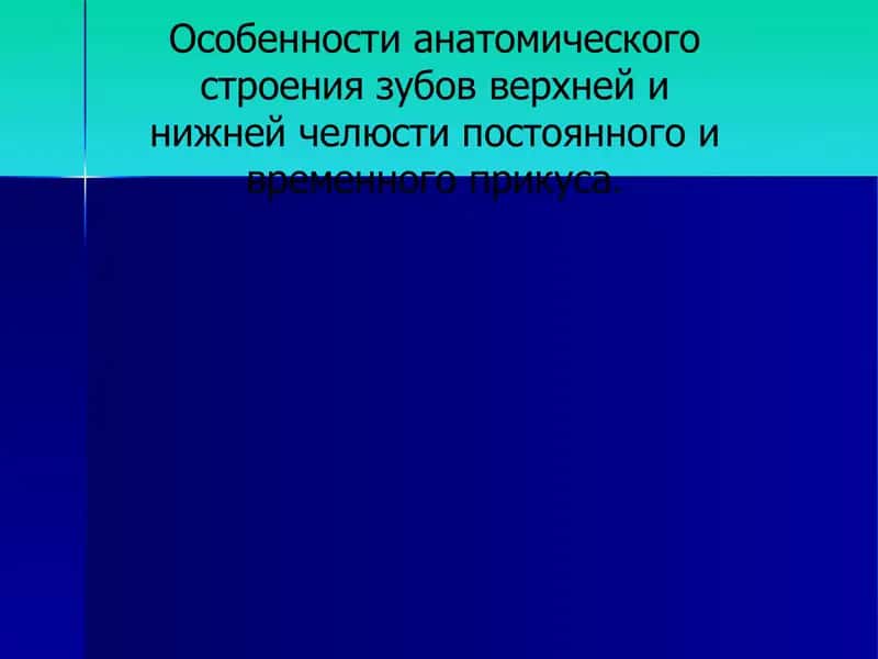 Особенности анатомического строения зубов 1