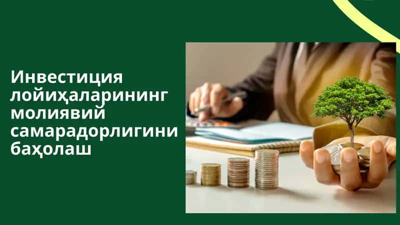 Инвестиция лойиҳаларининг молиявий самарадорлигини баҳолаш 1