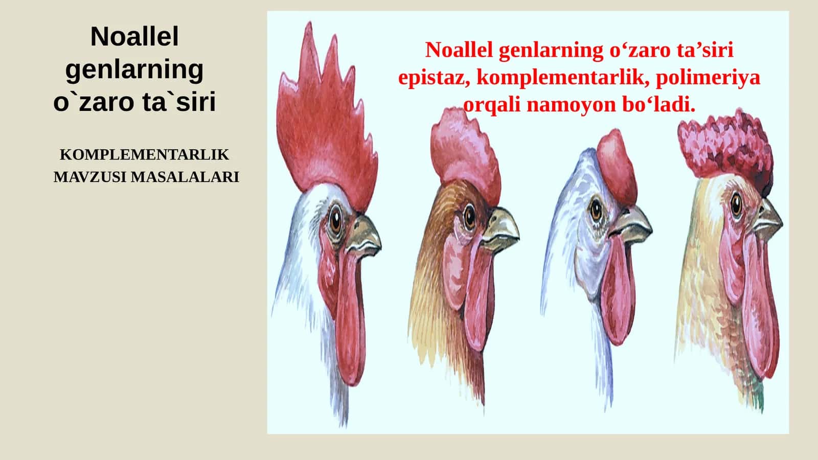Komplementar ta`sirga oid masalalar 1