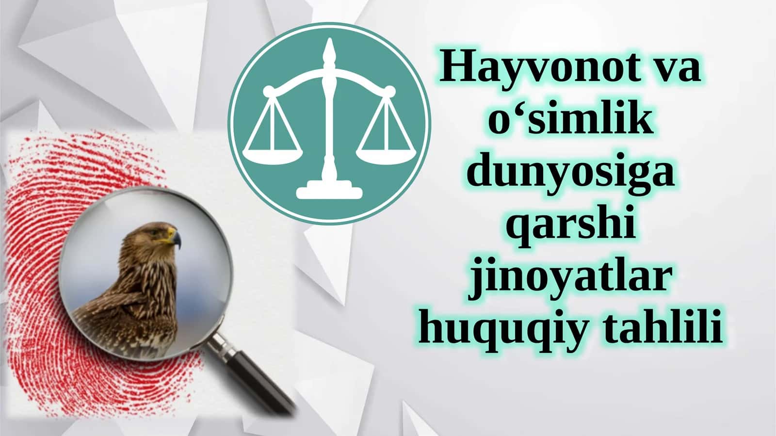 Hayvonotvao‘simlikdunyosigaqarshijinoyatlarhuquqiytahlili 1