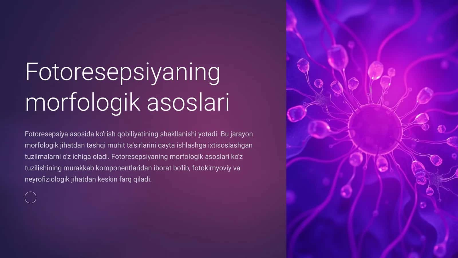 Fotoresepsiyaning morfologik asoslari 1