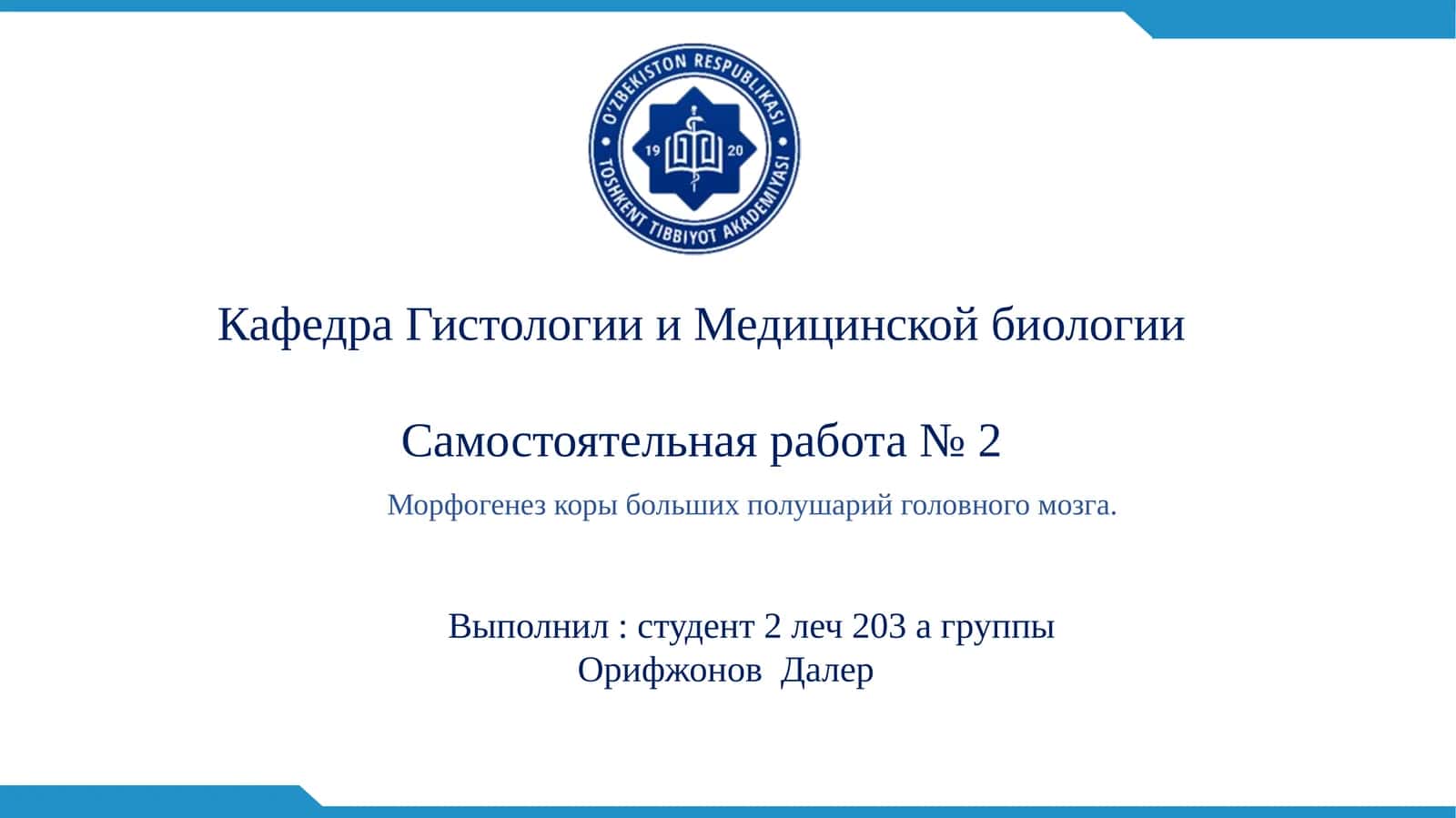 Кора больших полушарий головного мозга 1