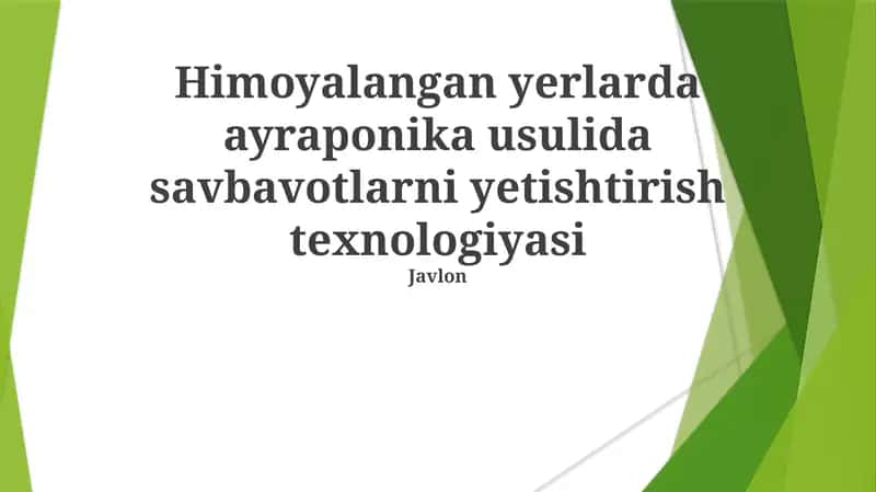 Aeroponika usulida savbavotlarni yetishtirish texnologiyasi 1