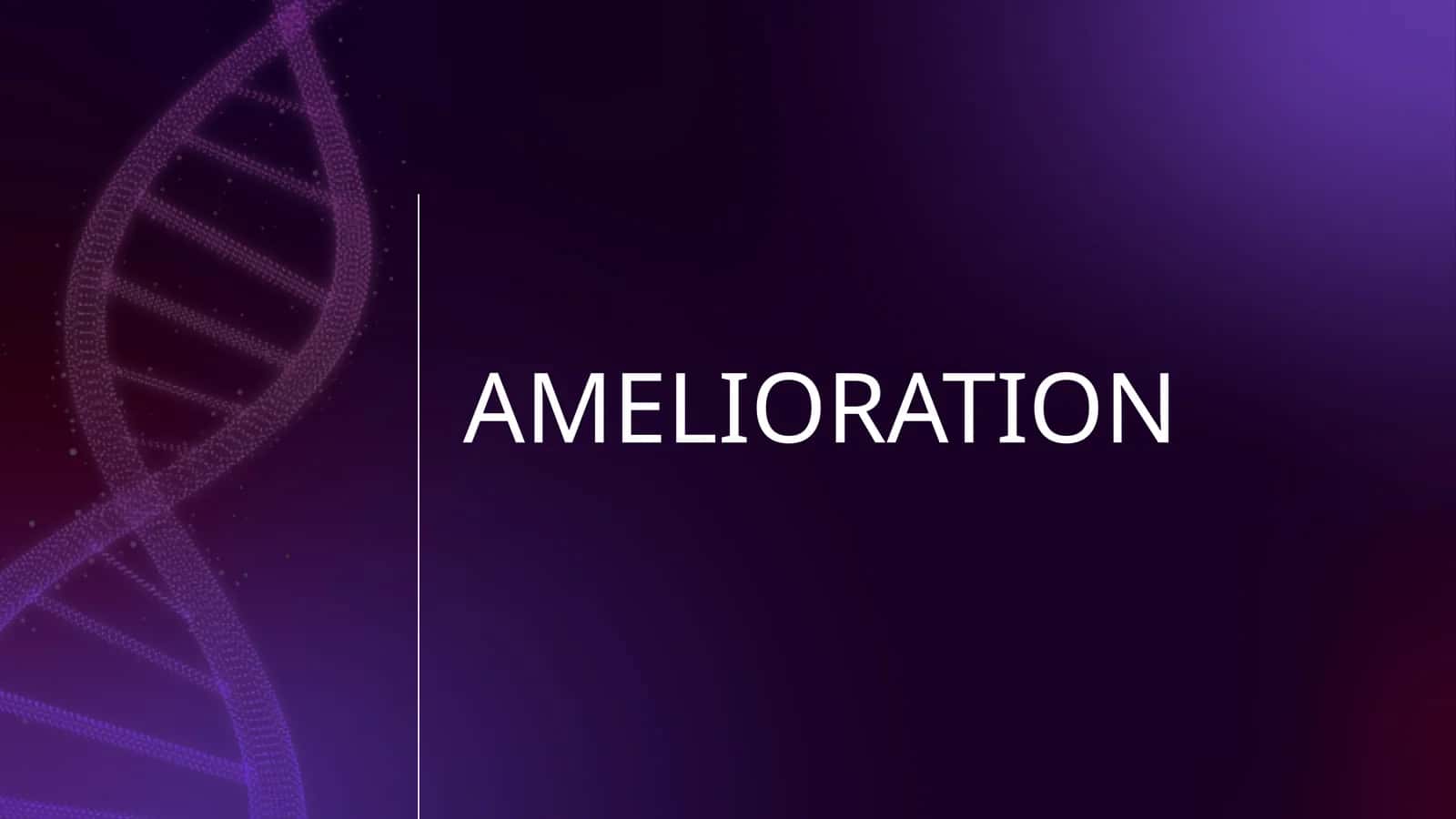 AMELIORATION 1