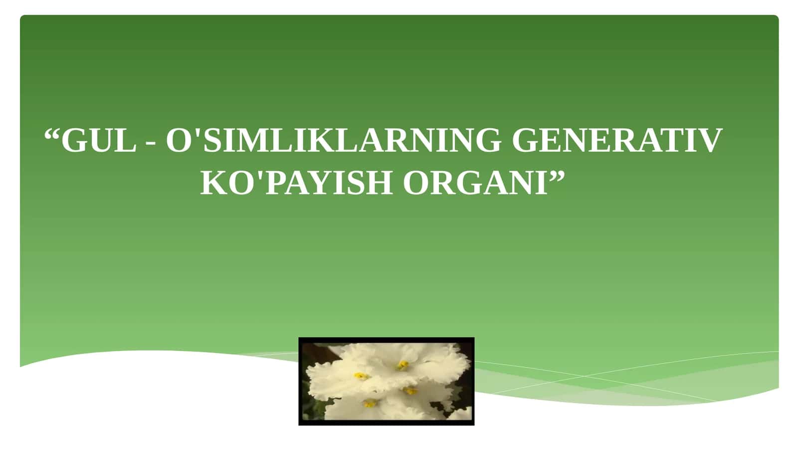 GUL-O'SIMLIKLARNING GENERATIV KO'PAYISH ORGANI 1