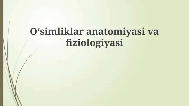 O‘simliklar anatomiyasi va fiziologiyasi 1