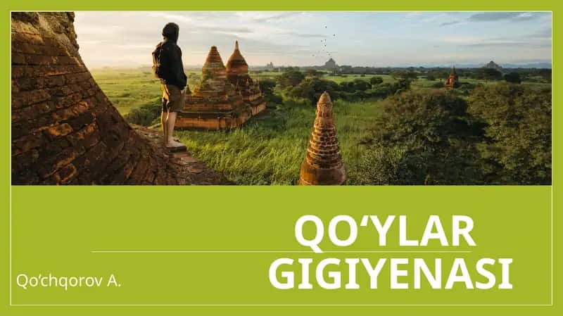 QO‘YLAR GIGIYENASI 1