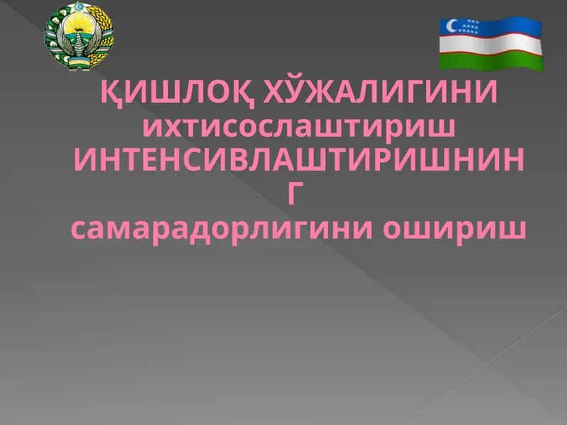 ҚИШЛОҚ ХЎЖАЛИГИНИ ихтисослаштириш ИНТЕНСИВЛАШТИРИШНИНГ самарадорлигини ошириш 1