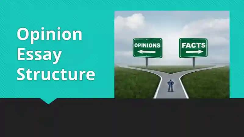 Opinion Essay Structure