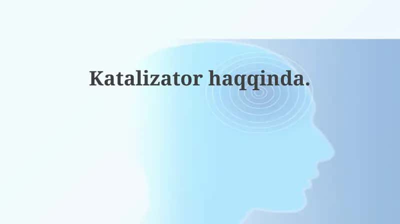 Katalizator 1