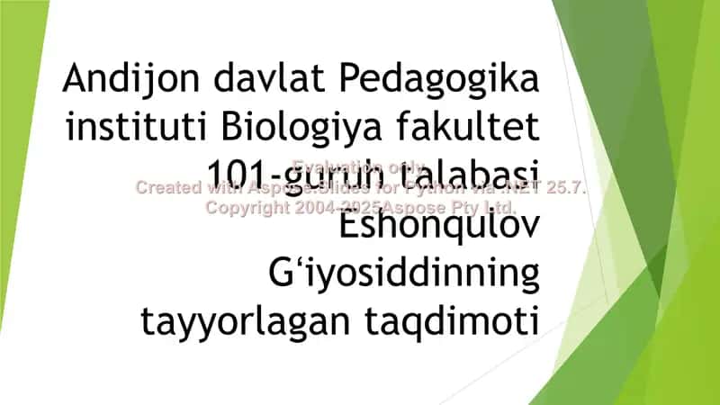 Eshonqulov Gʻiyosiddinning talabasi taqdimoti 1