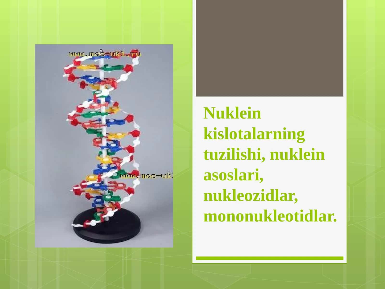 Nuklein kislotalarning tuzilishi,nuklein asoslari,nukleozidlar,mononukleotidlar. 1