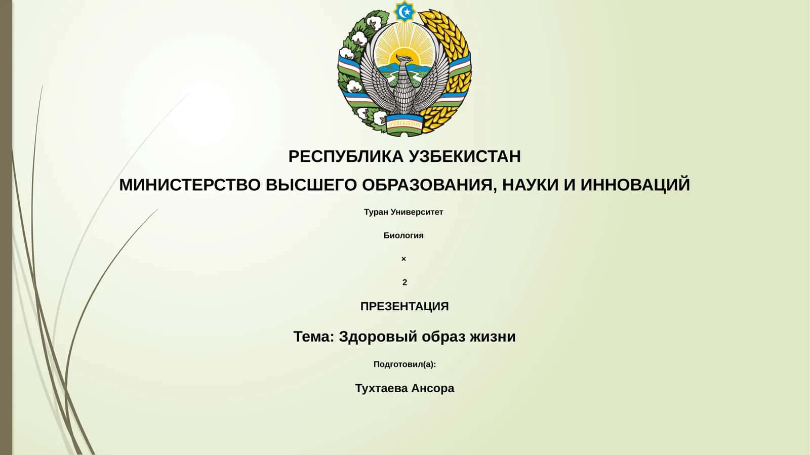 Здоровый образ жизни 1