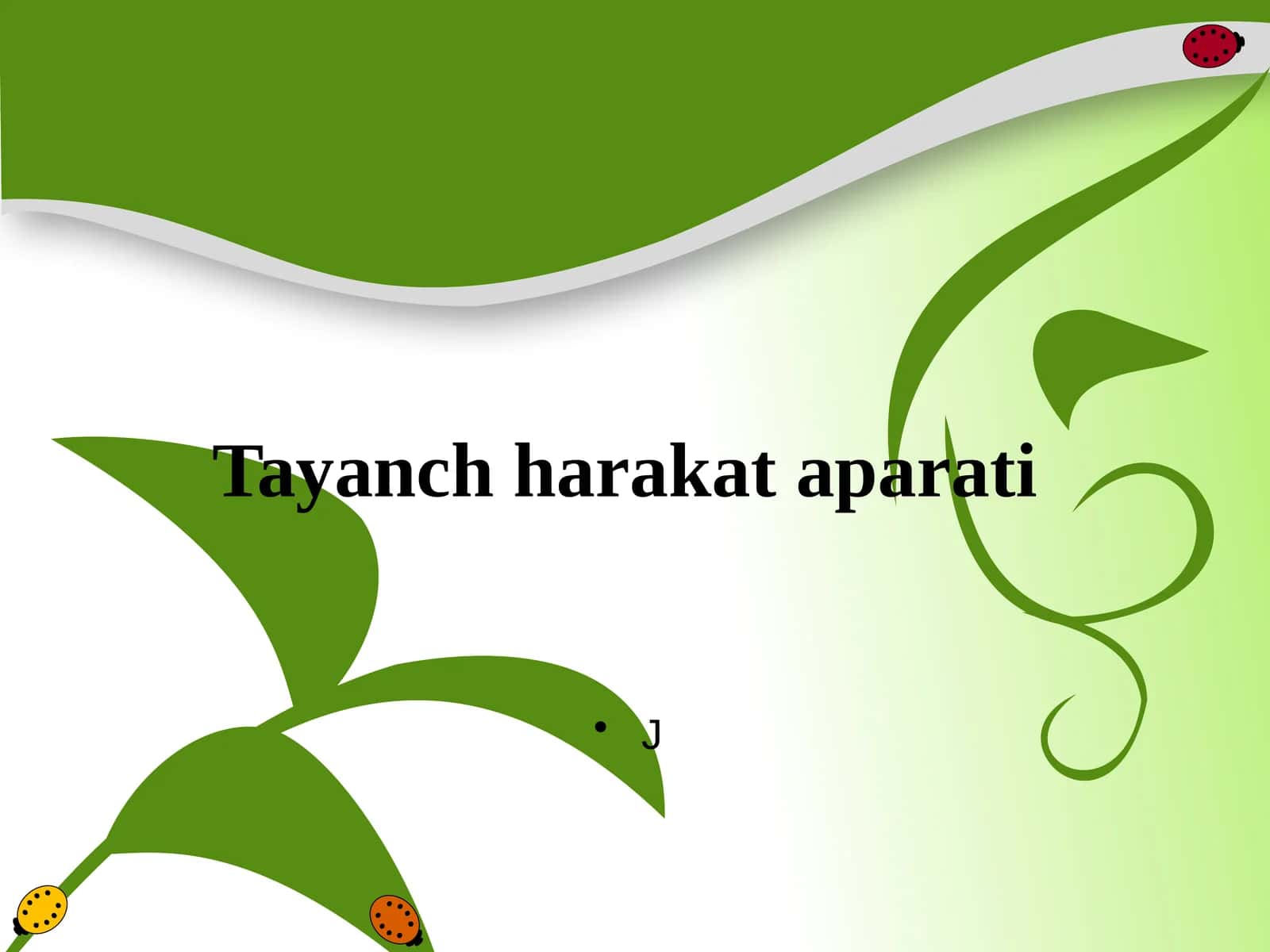 Tayanch harakat apparati 1