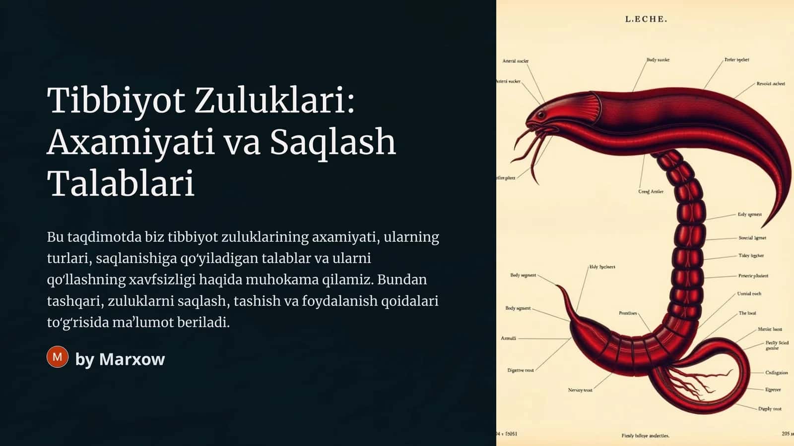 Tibbiyot Zuluklari: Axamiyati va Saqlash Talablari 1