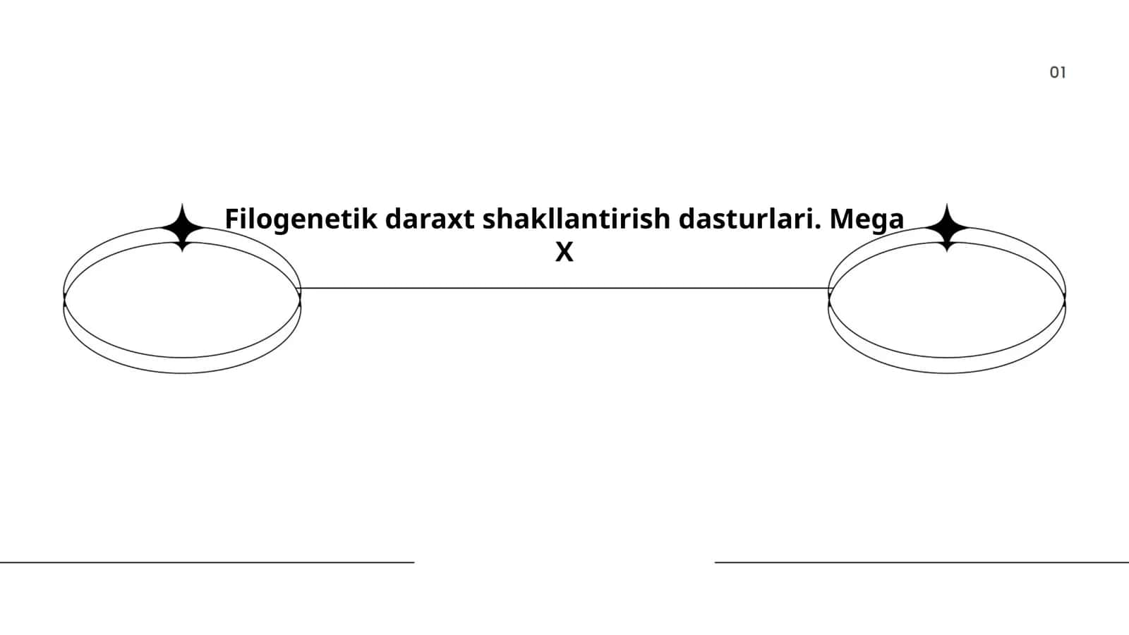 Filogenetik daraxt shakllantirish dasturlari. Mega X 1