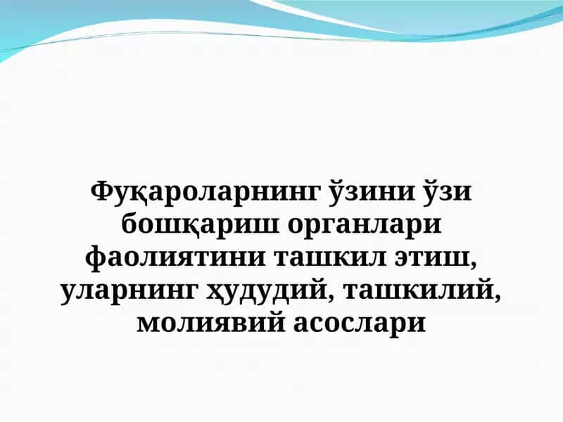 Фуқароларнинг ўзини ўзи бошқариш органлари фаолиятини ташкил этиш, уларнинг ҳудудий, ташкилий, молиявий асослари 1