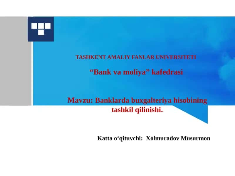 Banklarda buxgalteriya hisobining tashkil qilinishi 1