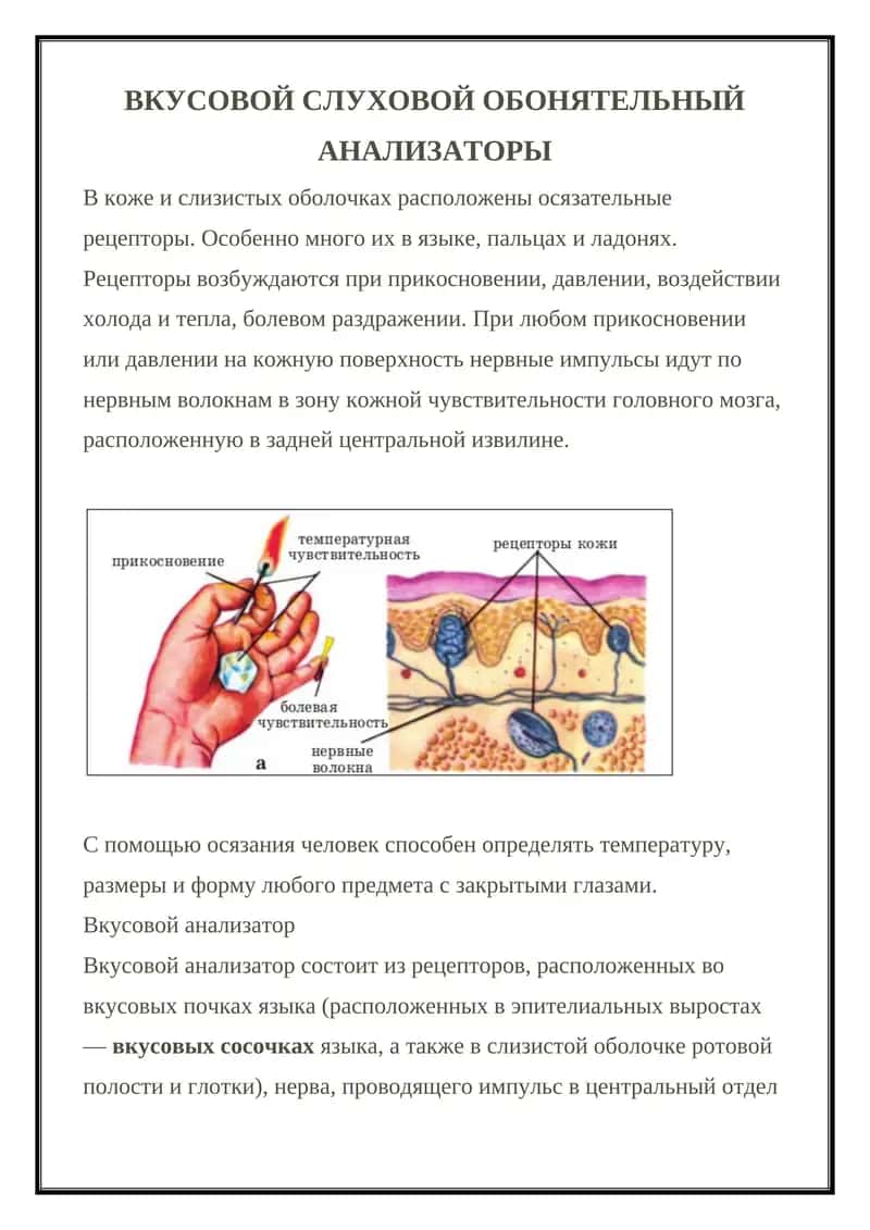 Вкусовой анализатор 1