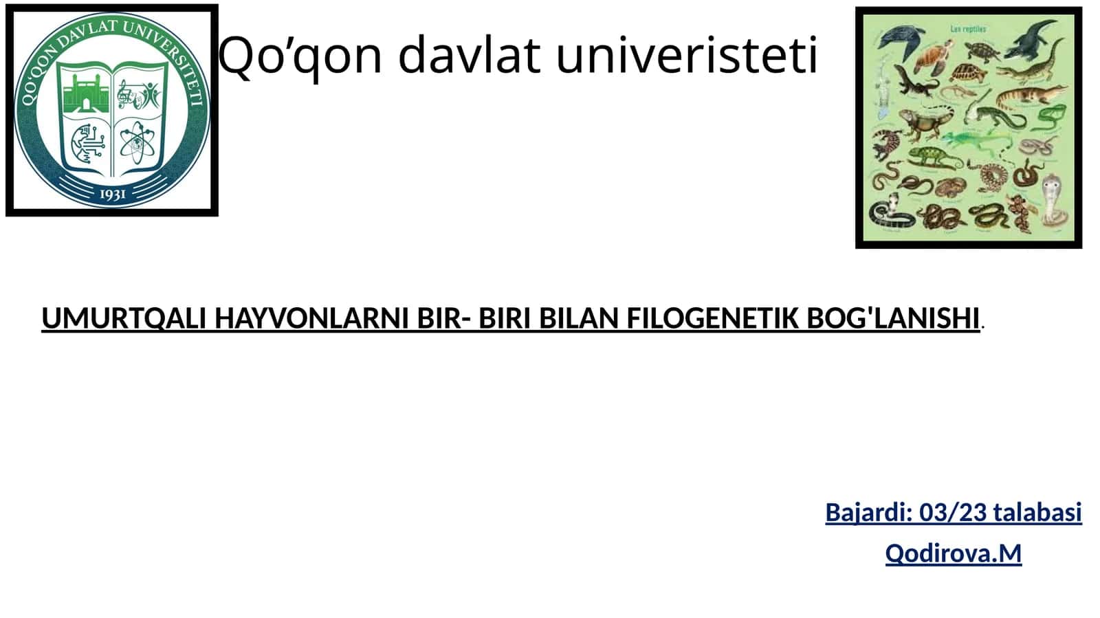 Umurtqali hayvonlarni bir-biri bilan filogenetik bog'lanishi 1